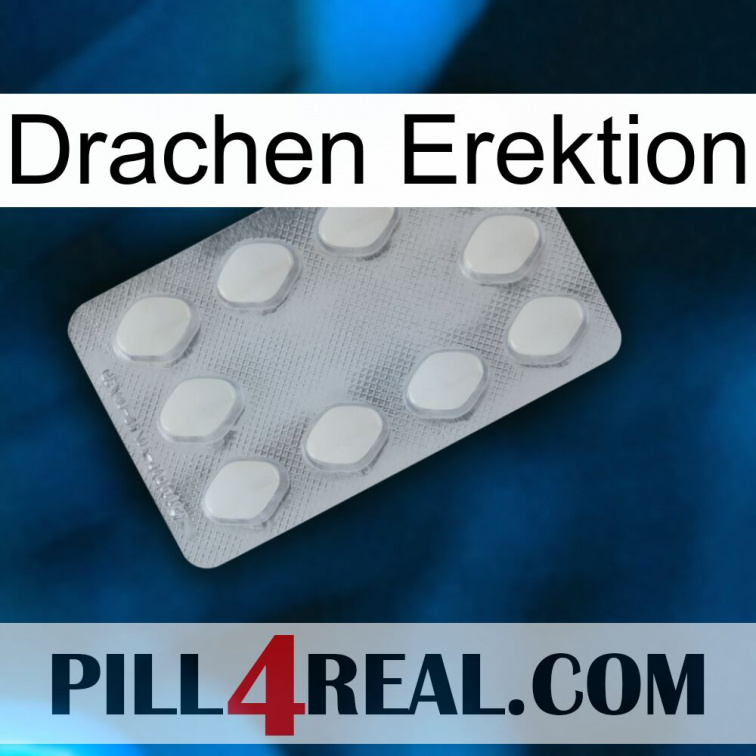 Dragon Erection 16